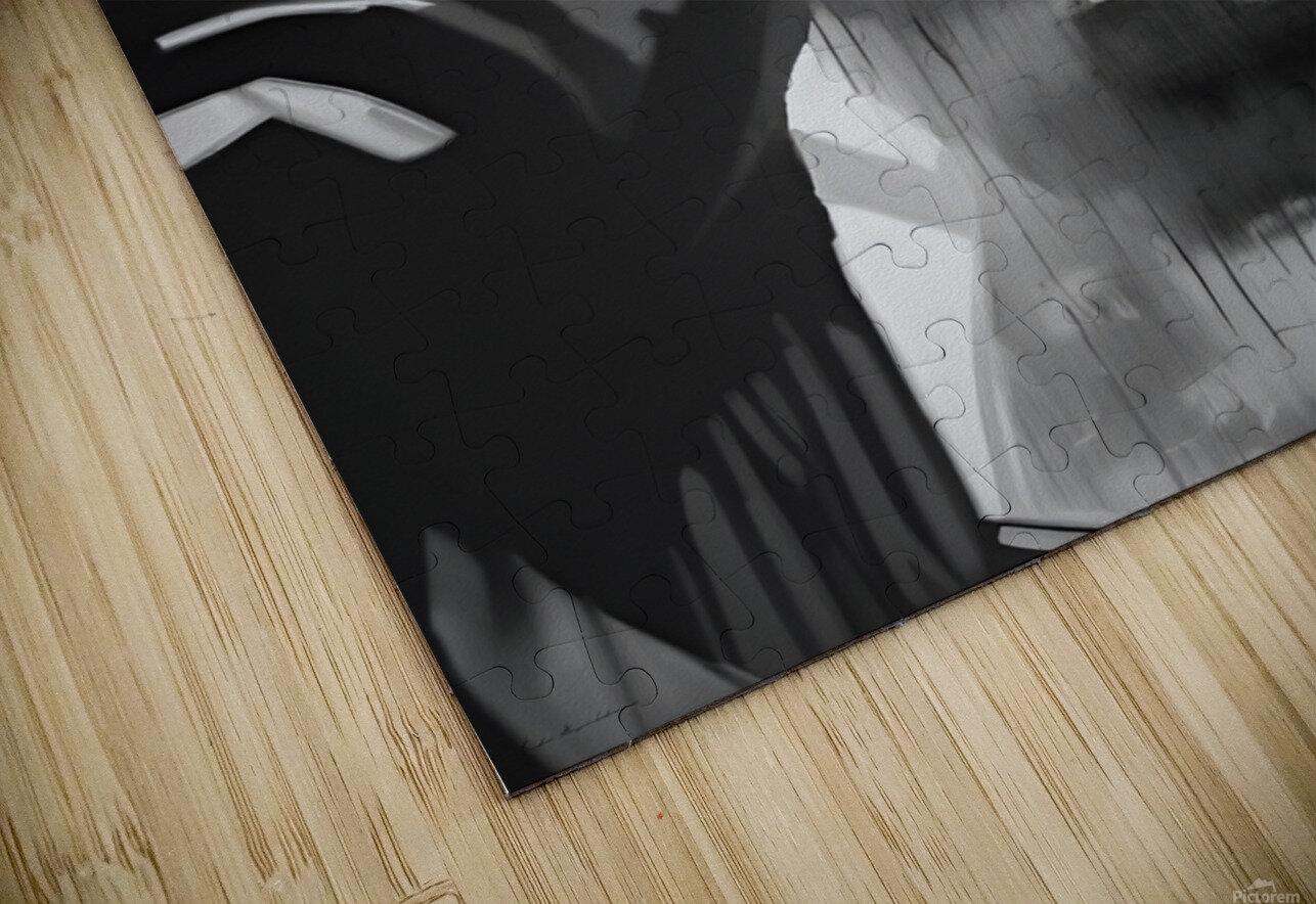 Reflections of the Mind fadi van yaldani Puzzle