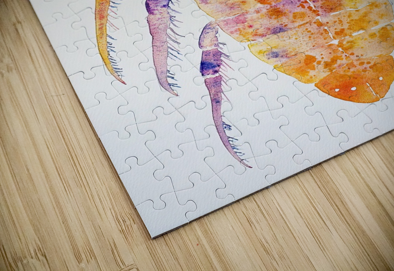 Chromatic Crustacean JH92N3 45 Abstract Rebellion Puzzle