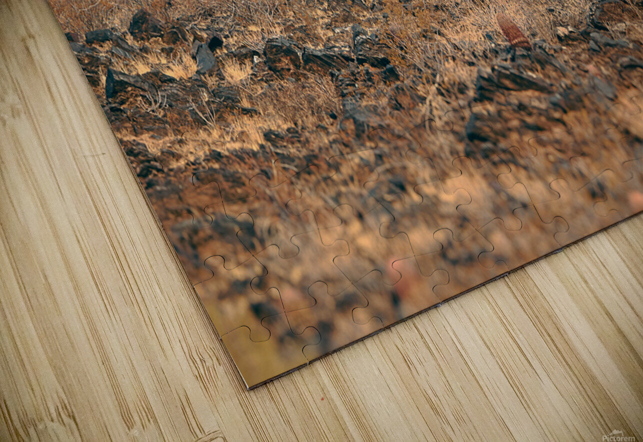 DSC 5281 JenMas Puzzle