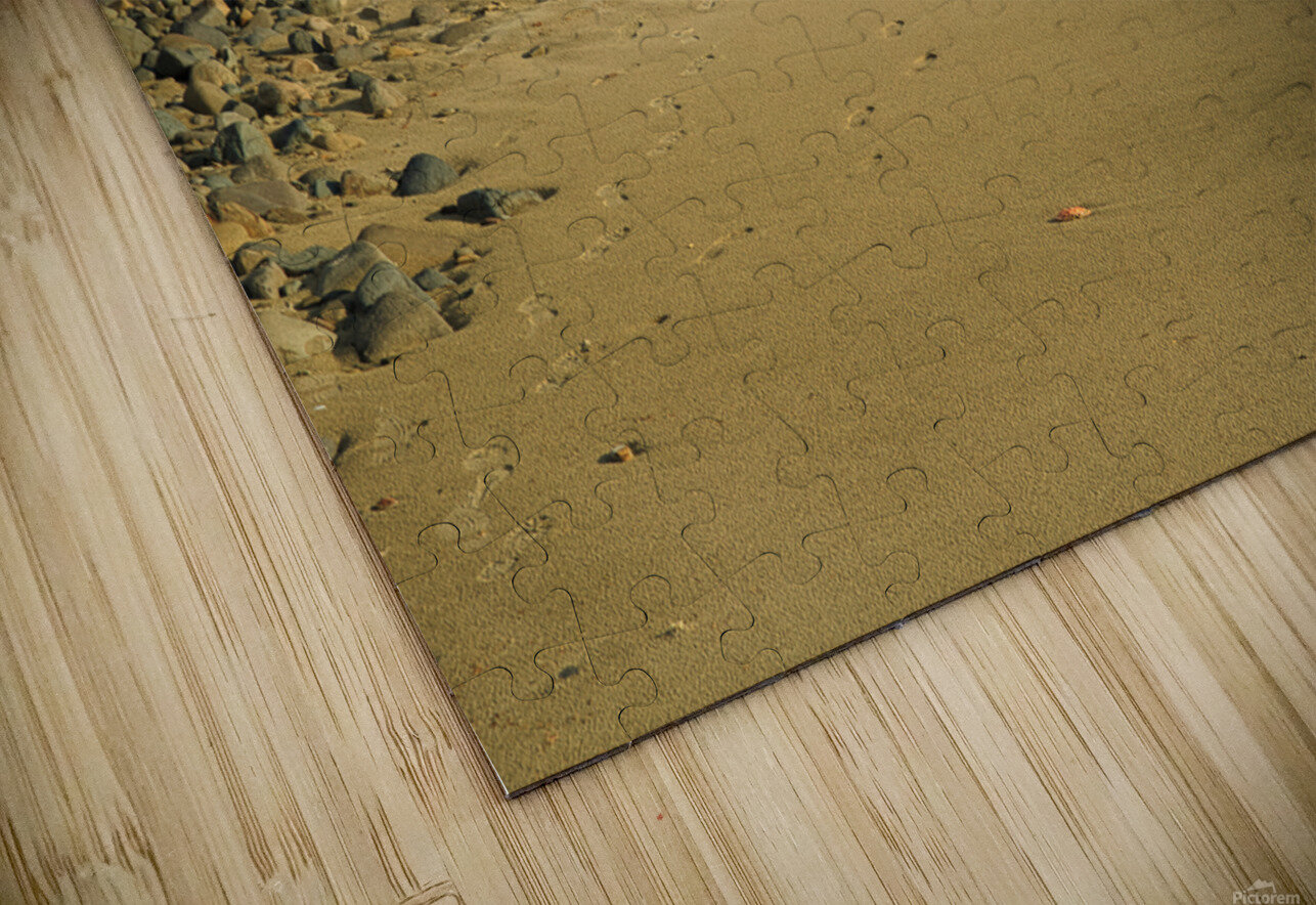 Walk the Oregon Beachscape Taylor Ehat Photography Puzzle