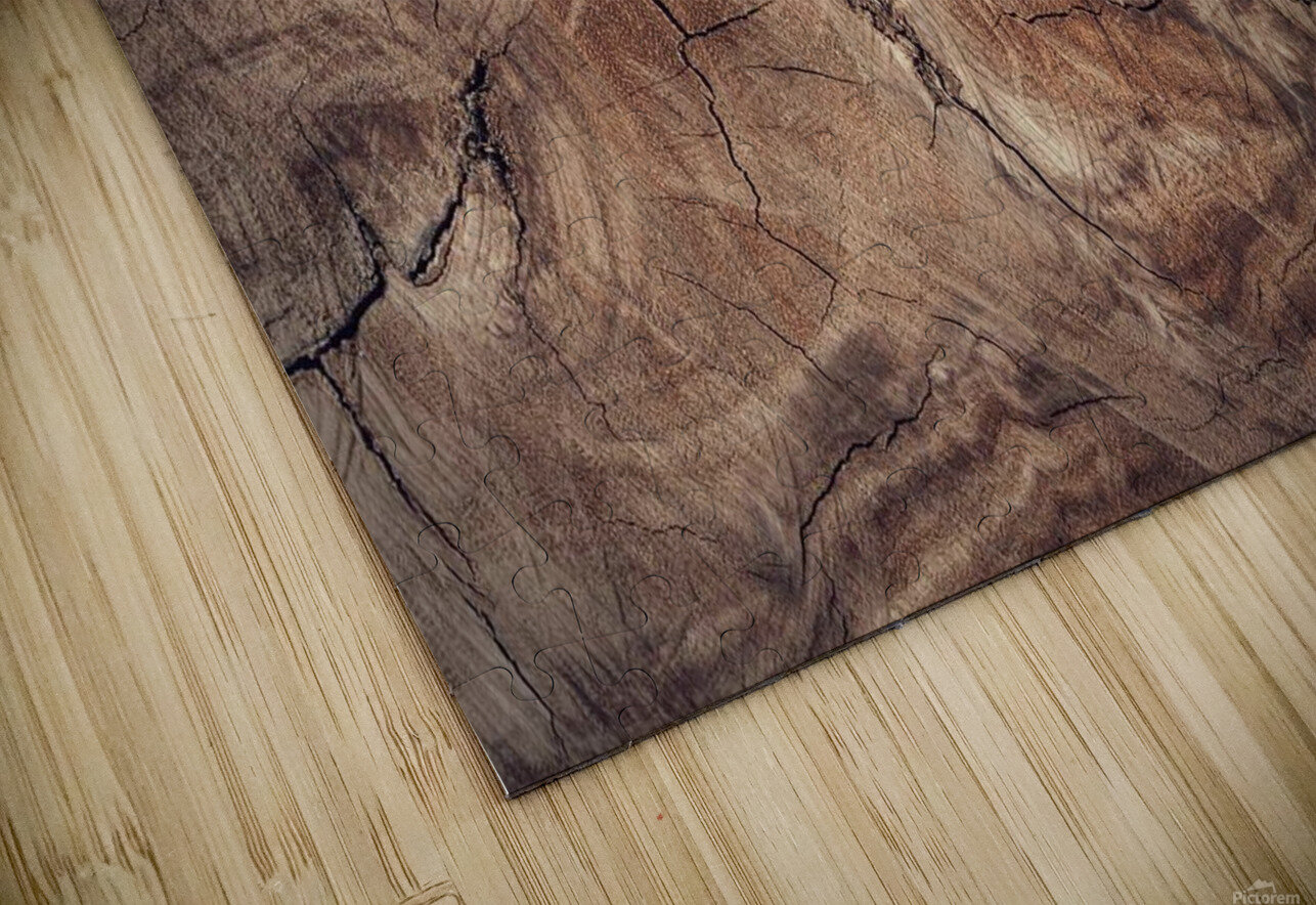 Wood wall Pacoraman Puzzle