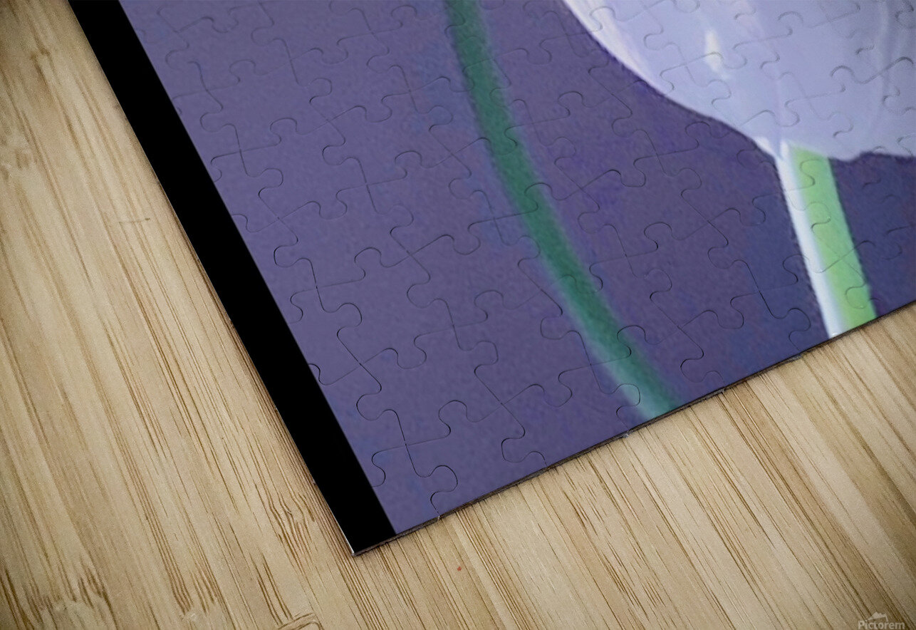 IMG 9929 m Karla Wave Puzzle