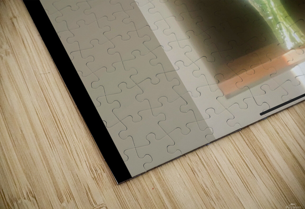 IMG 9925 m Karla Wave Puzzle