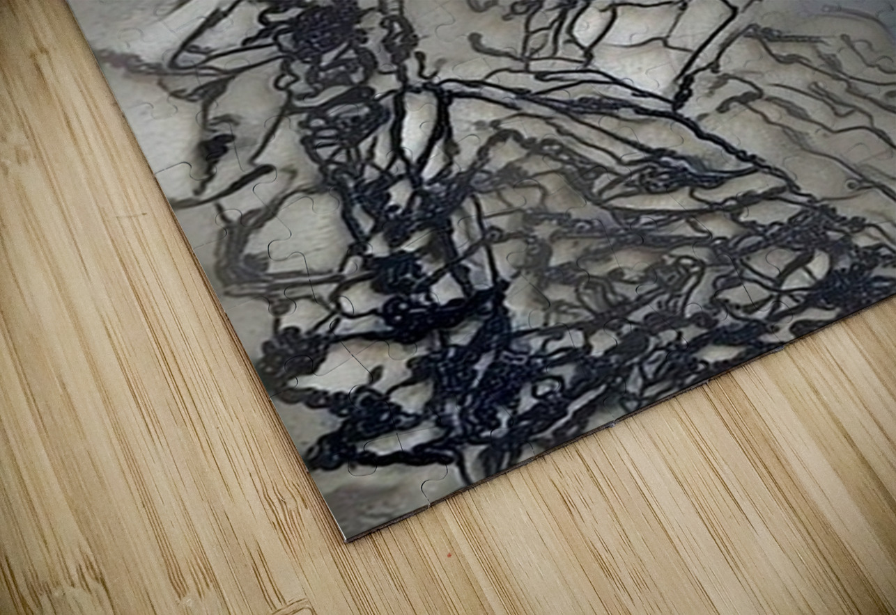 img7415806 ccac23a24d787d36.v1 Luciano Puzzle