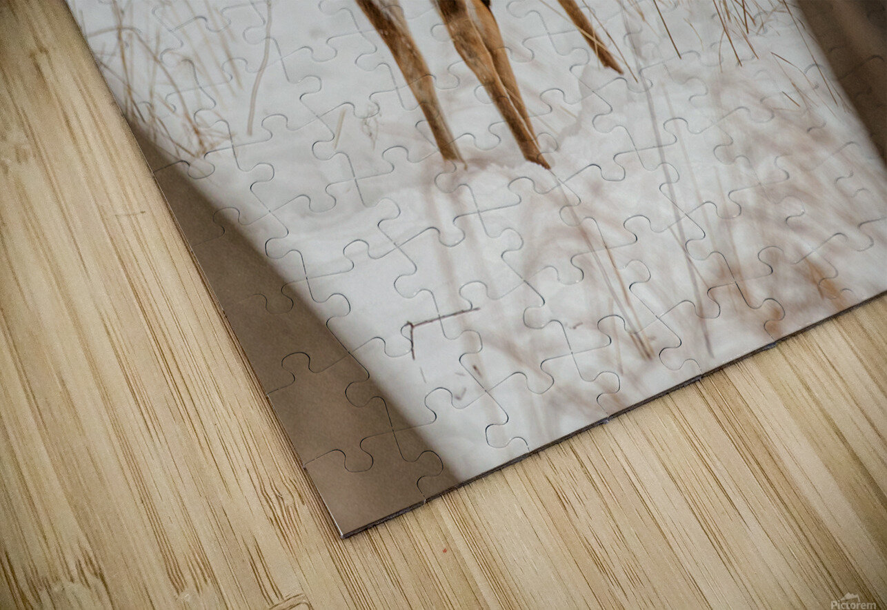 Stand Off 6D25 5708 BB Outdoors Puzzle