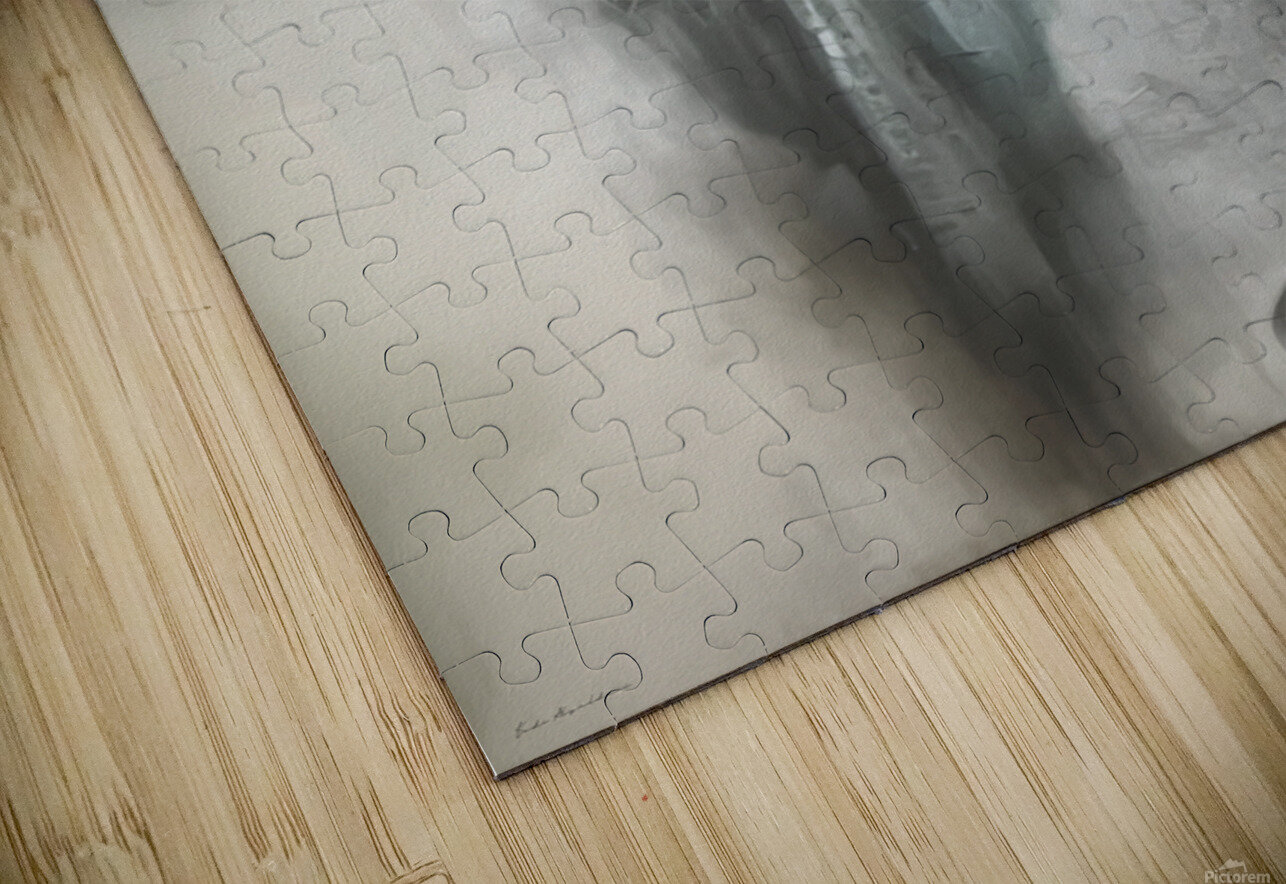 Steel and Soul fadi van yaldani Puzzle