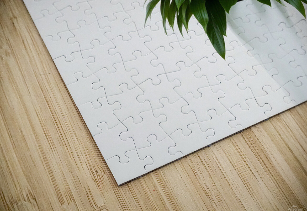 Charming White Orchid Arrangement in Sleek Vase Carole Bally Puzzle