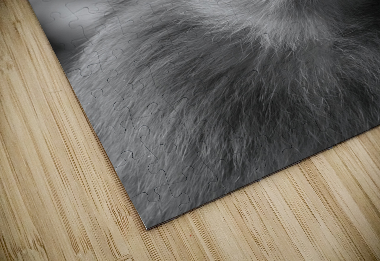 Greedy Friend- Moroccan Monkey Snjezana Puzzle