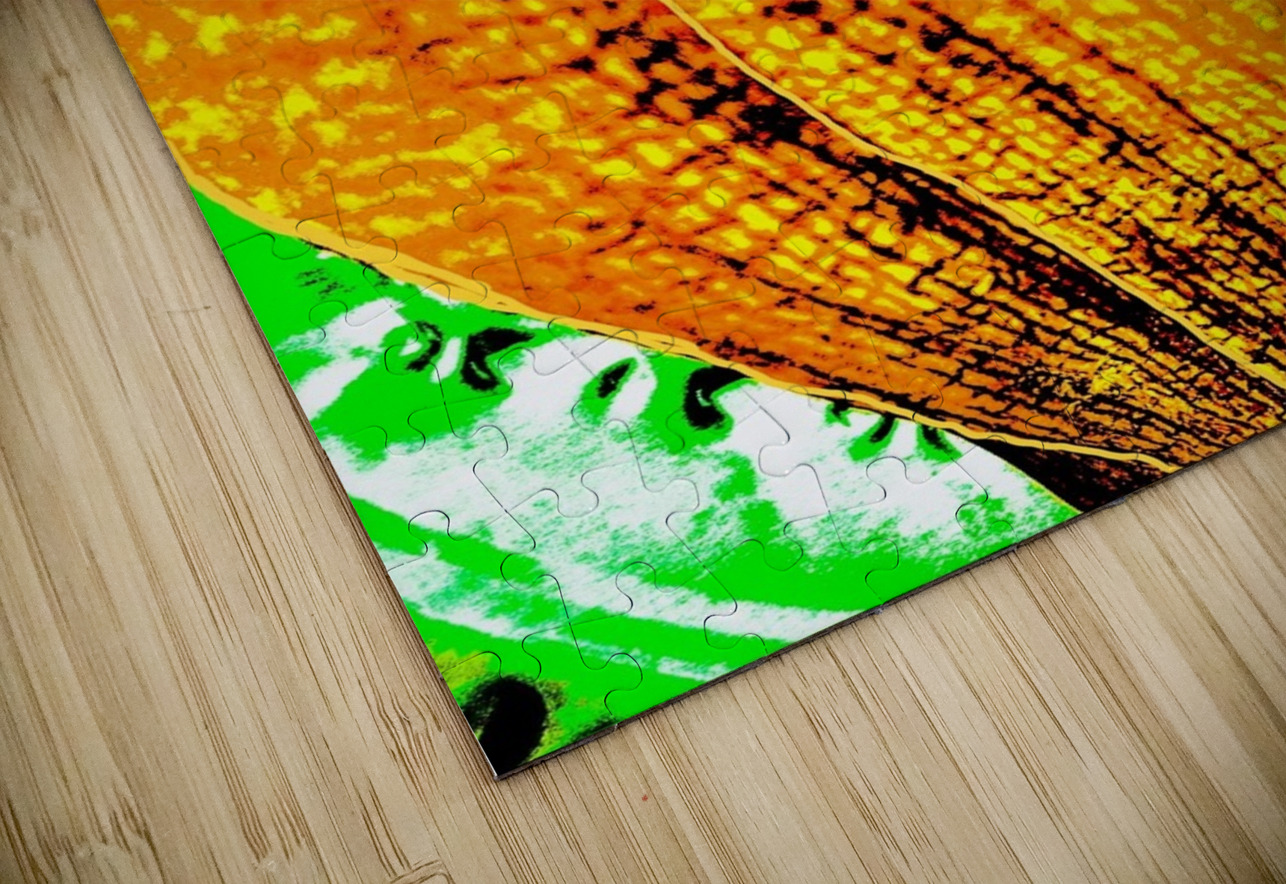 Abandon  Jolabis  Puzzle