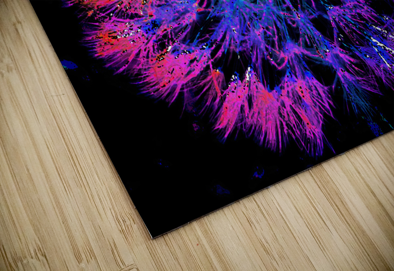 Abstract Neon Dandelion Head Catriona Roberts Nature Photography and Designs Puzzle