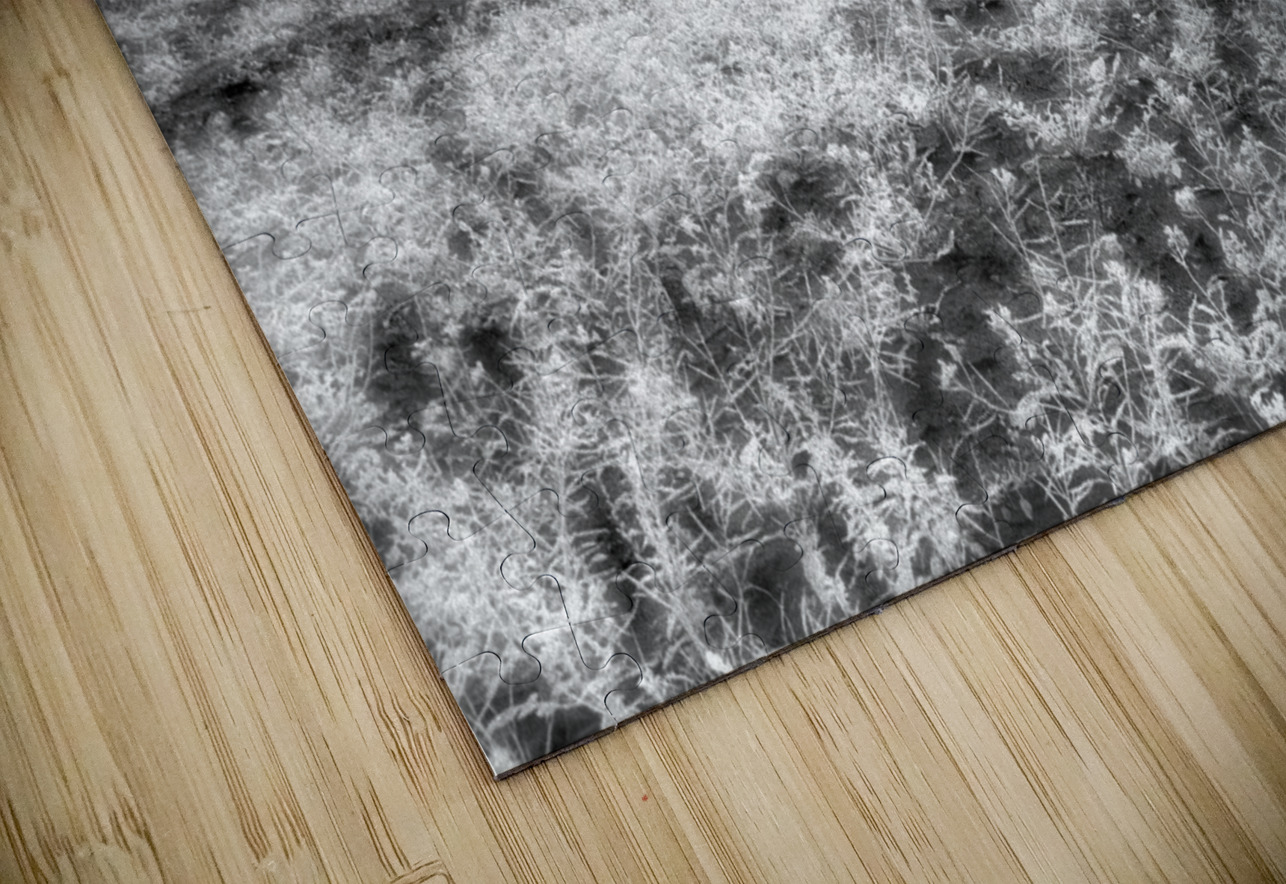 Barn In Field Infrared Artilism Puzzle