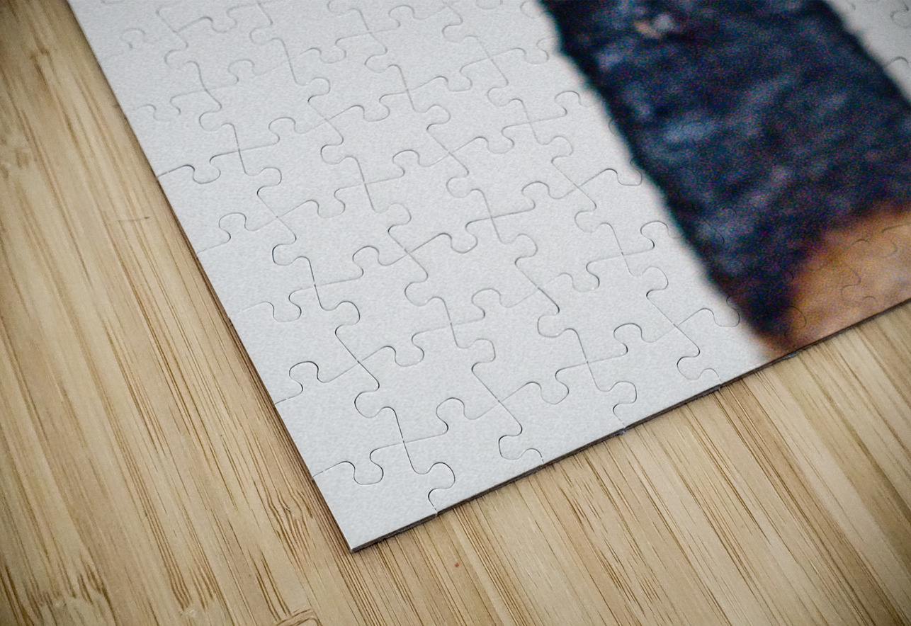 Burned III Artilism Puzzle