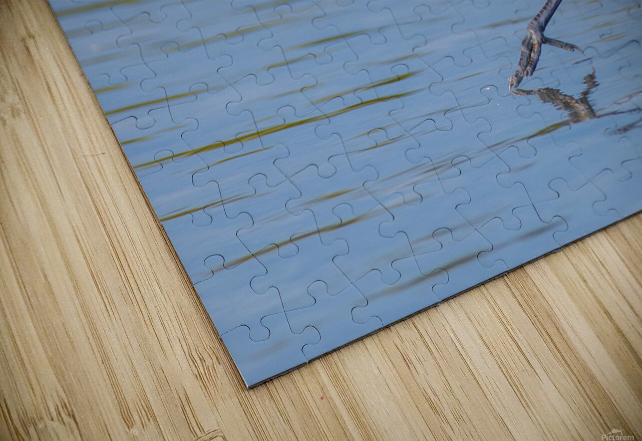 Reddish Egret 3351 Robert Burnett Puzzle