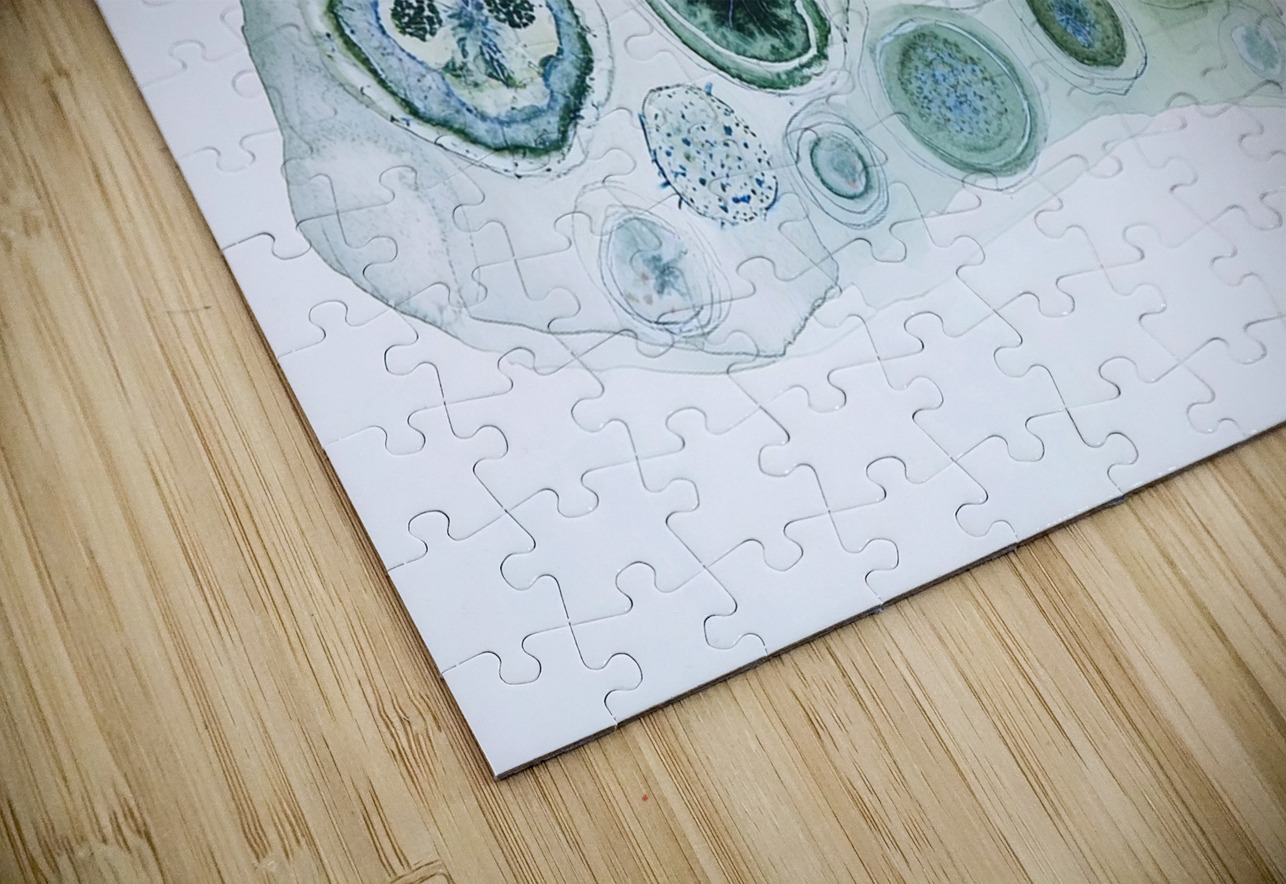 Cellular Echoes ZH92N5 47 Abstract Rebellion Puzzle