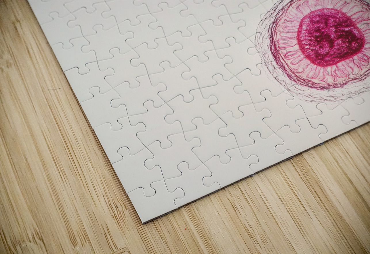 Cellular Harmony 249CPZ 47 Abstract Rebellion Puzzle