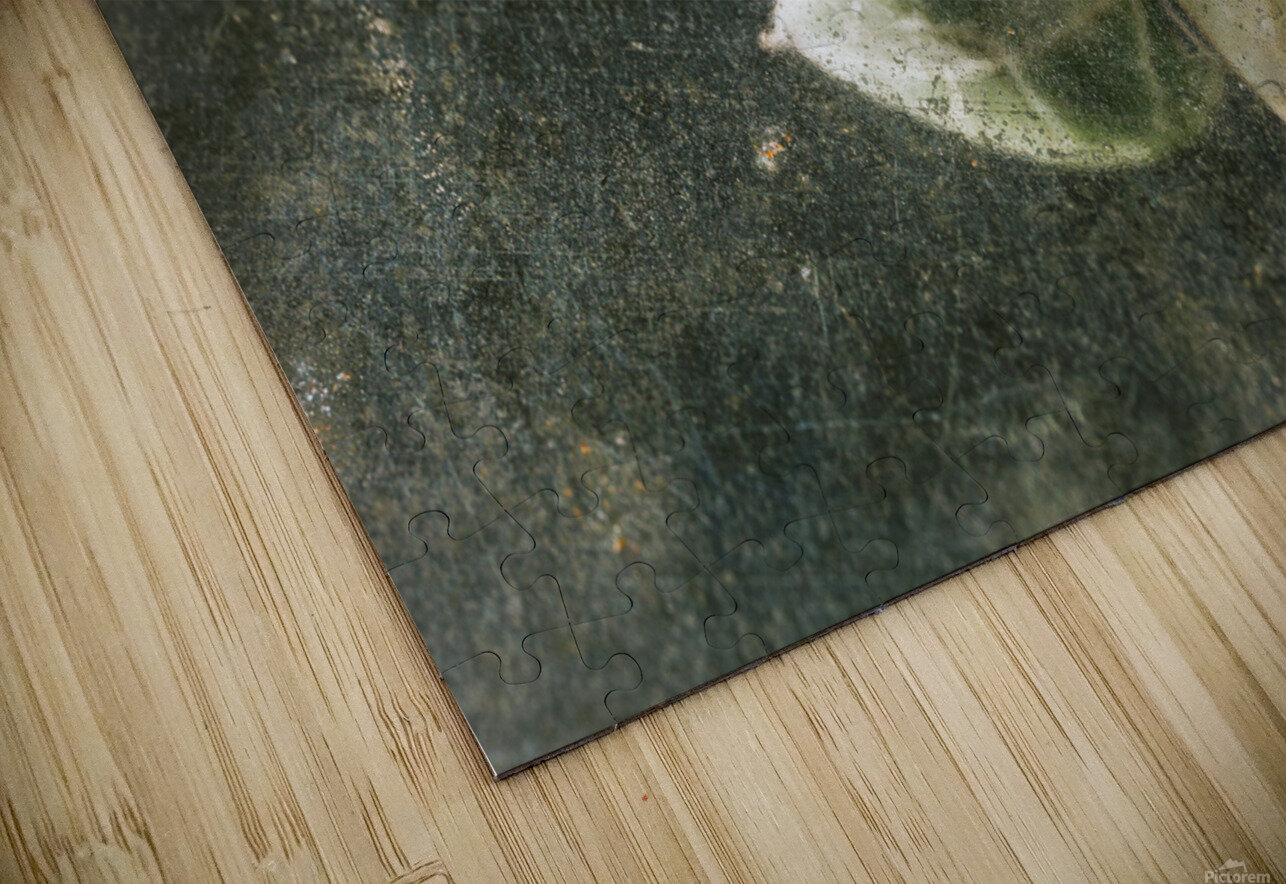 Green leaves of ceropegia woodii victimewalker Puzzle