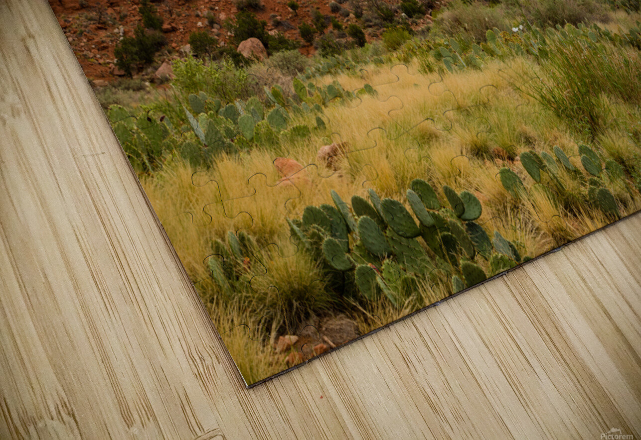 Prickly Pear and Sandstone Zion National Park Andrew Pacheco Puzzle