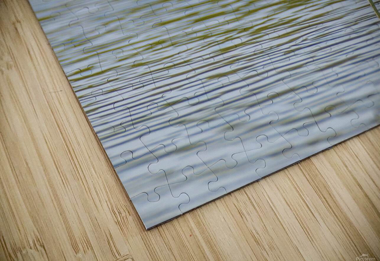 Little Blue Heron 3242 Robert Burnett Puzzle