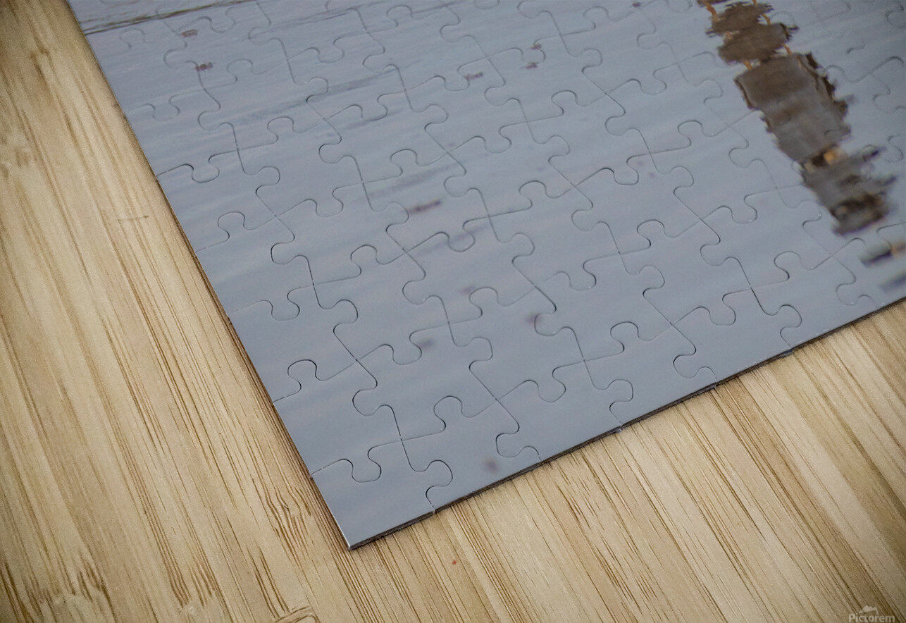 Yellow crowned Night Heron 4831 Robert Burnett Puzzle