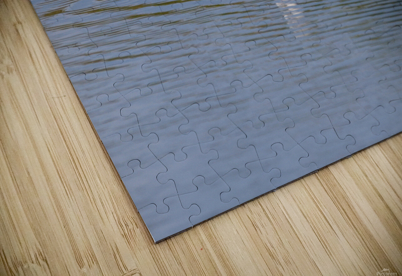 American Avocet 1828 Robert Burnett Puzzle