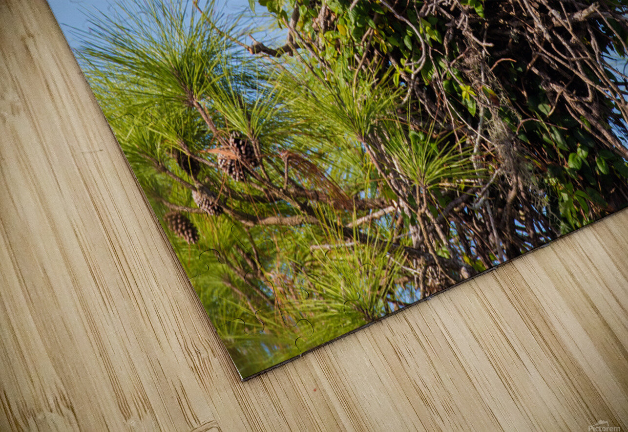 Bald Eagle 9148 Robert Burnett Puzzle