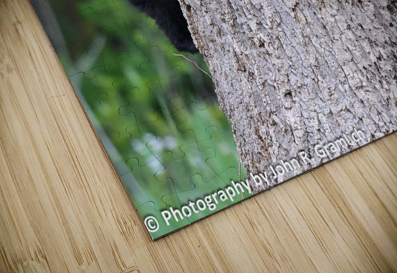 Baby Bear Vividscope Puzzle