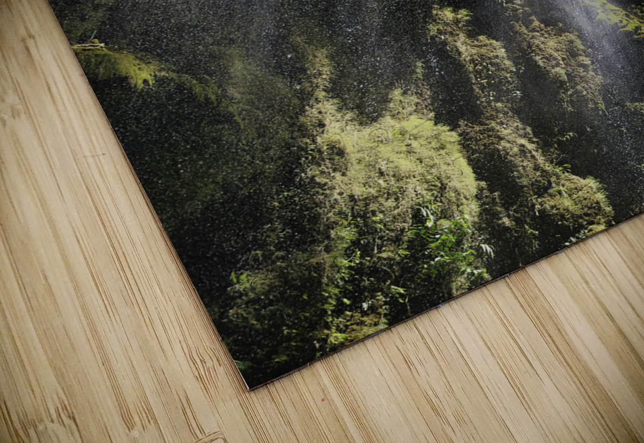 Mistfall Light – Cebu Philippines AM Productions Puzzle