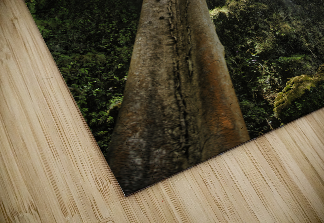 Vertical Horizon – Waterfall Canopy Cebu Philippines AM Productions Puzzle