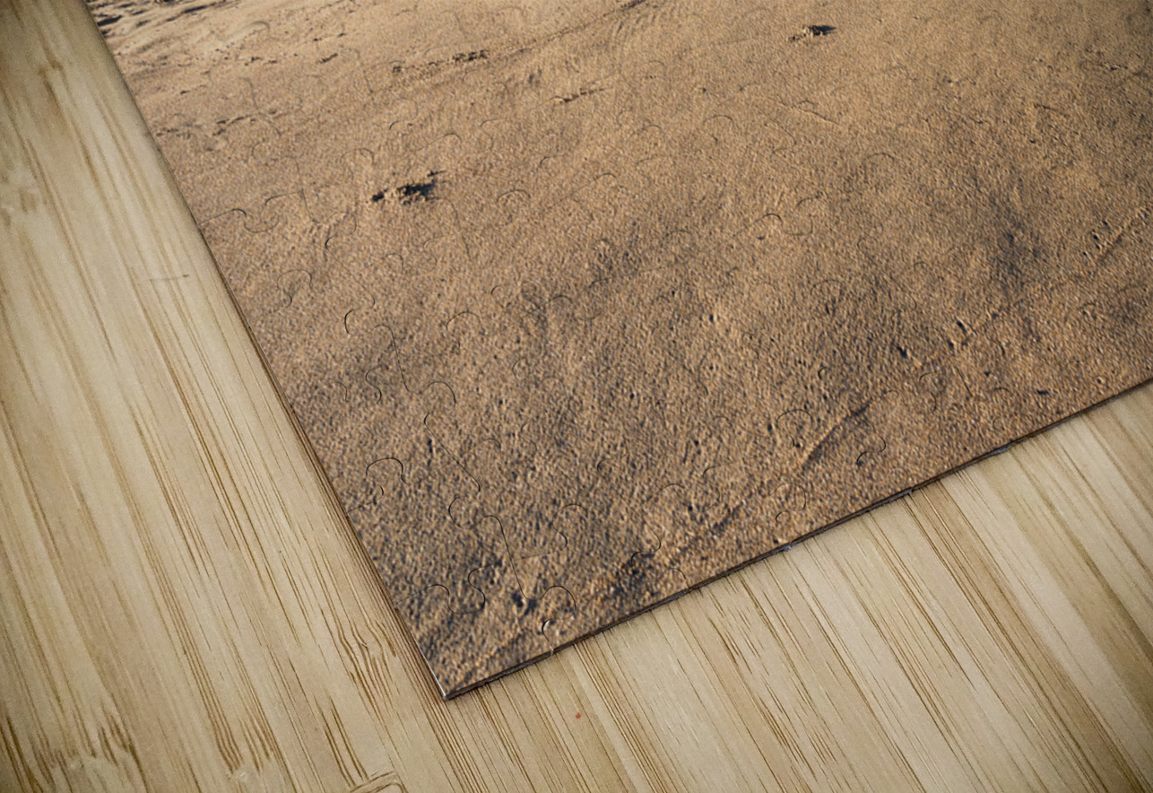 Aloha from Kauai: A driftwood greeting spells out a warm welcome Steve Heap Puzzle
