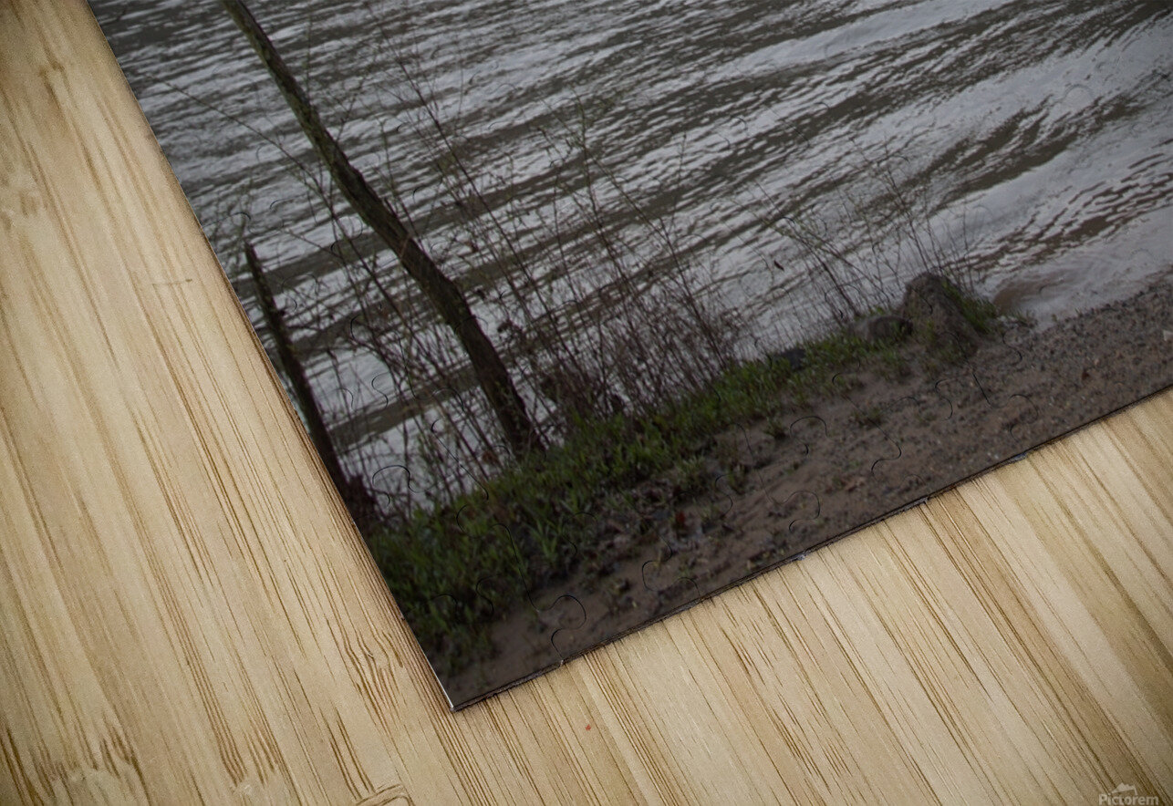 Enjoying the View Robert Campbell Puzzle