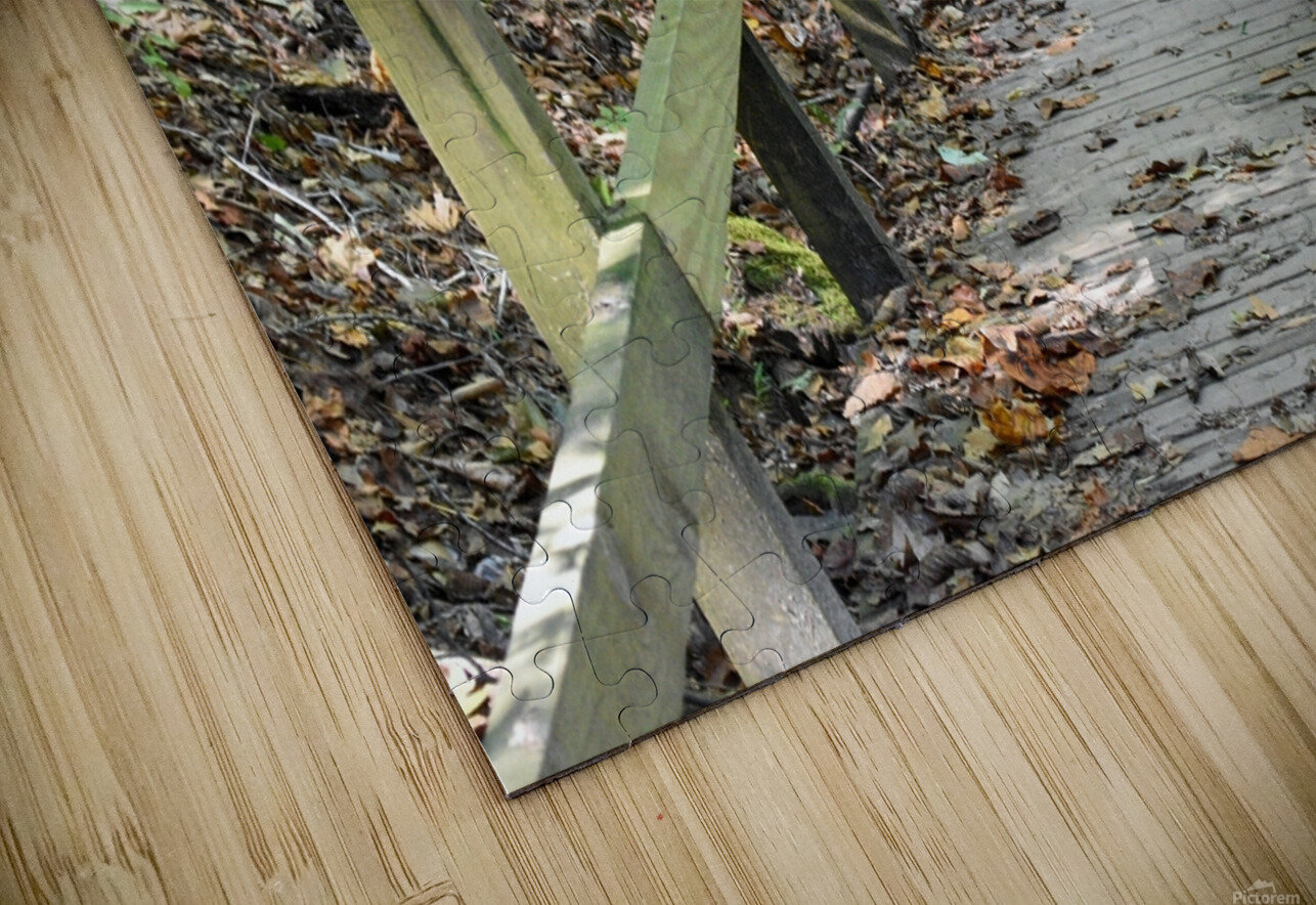 The trail of life Robert Campbell Puzzle