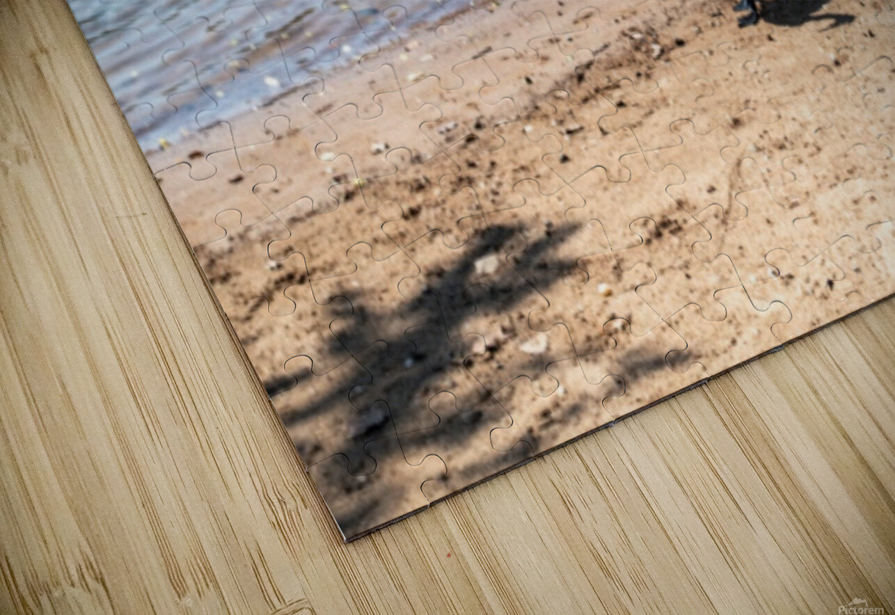 Your Rush Robert Campbell Puzzle