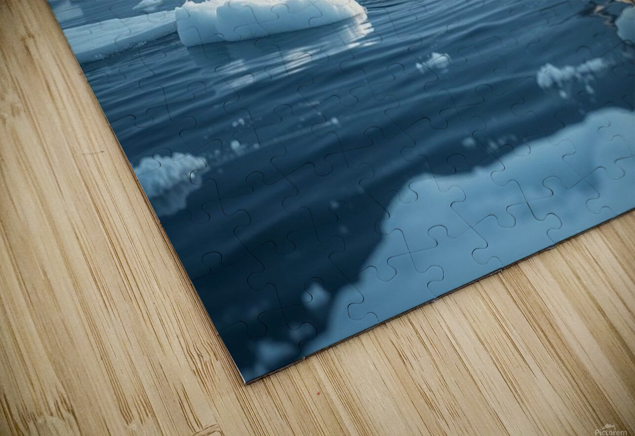 Narwhal’s Unicorn Moment nor 2020 Puzzle