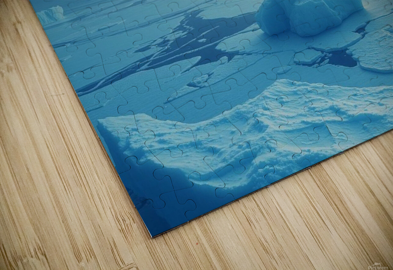 An Ice Planet with Frozen Oceans and Floating Icebergs nor 2020 Puzzle