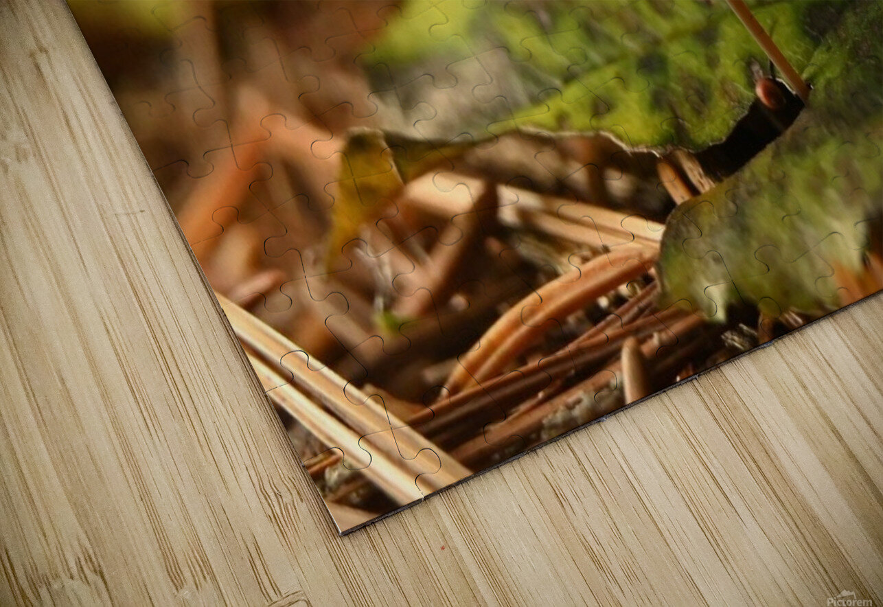 The mighty one  Images by Cheryl Lynn Puzzle