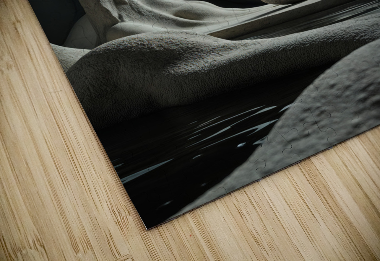  Bulbous Structure  Aniima Illussiya Puzzle