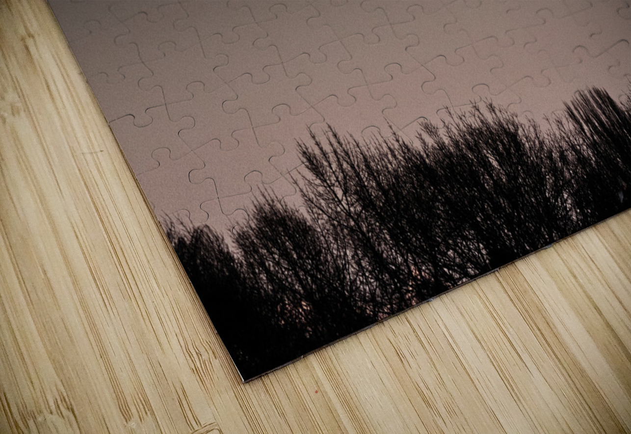 FS250211 MOONRISE FOTOSQUARES COM Puzzle