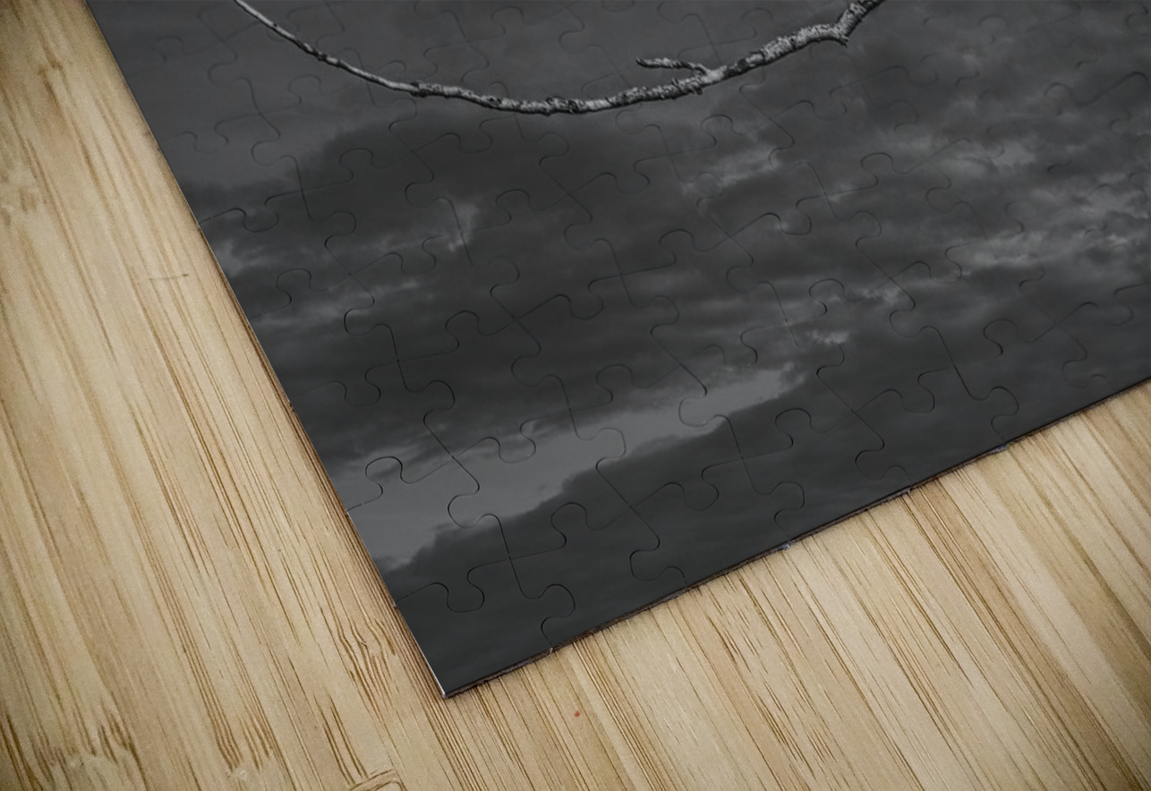 FS250211 EAGLES TWOGETHER BW2 FOTOSQUARES COM Puzzle