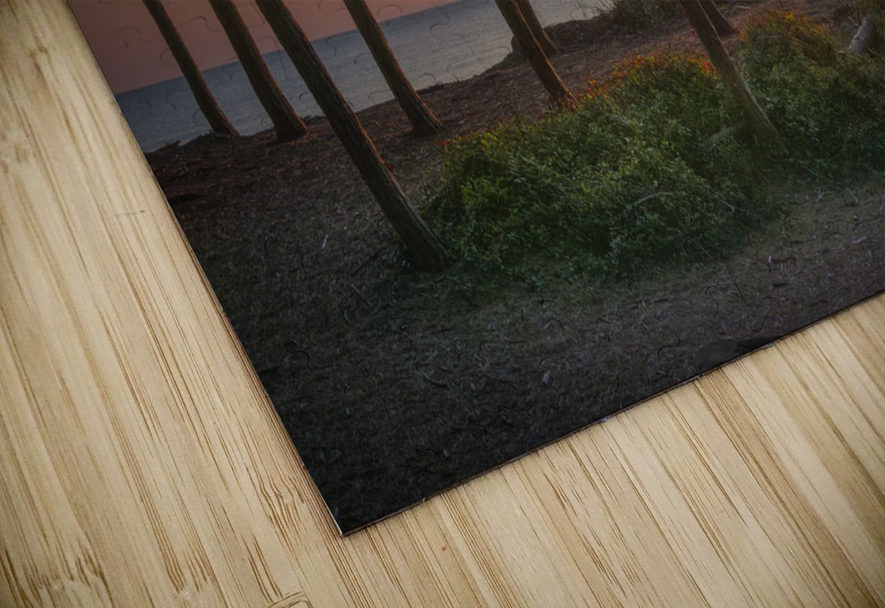 Pine trees and sea at sunset in Tuscany Stefano Orazzini Puzzle