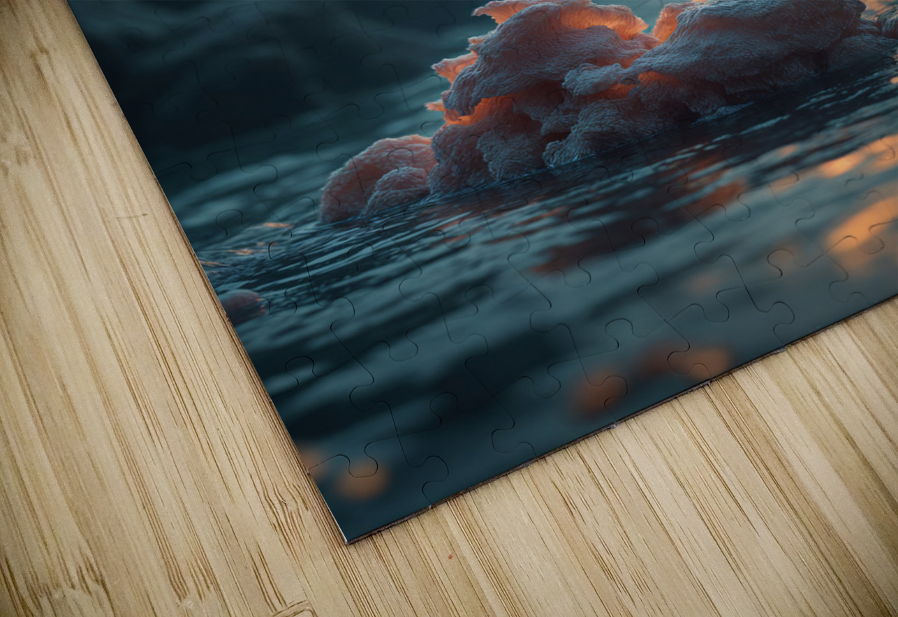 Natural World  Aniima Illussiya Puzzle