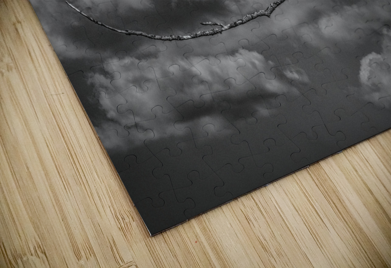 FS250211BW EAGLES CALLING FOTOSQUARES COM Puzzle