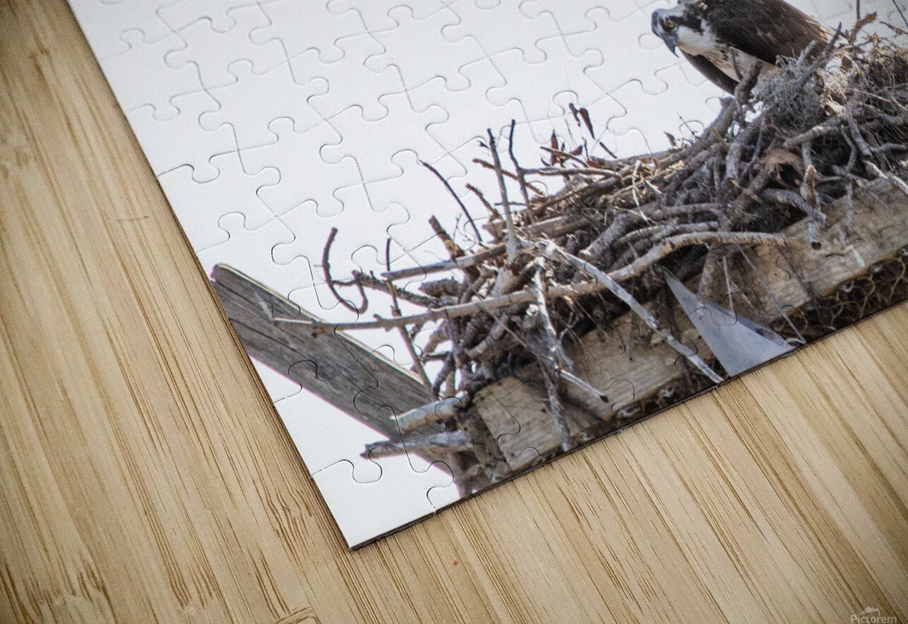 Osprey 1146 Robert Burnett Puzzle