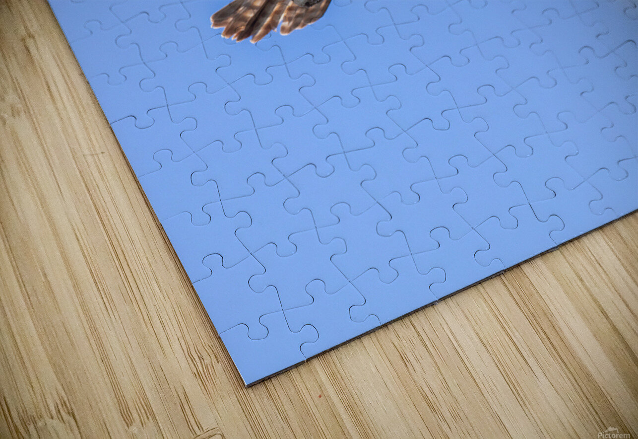 Osprey 5011 Robert Burnett Puzzle