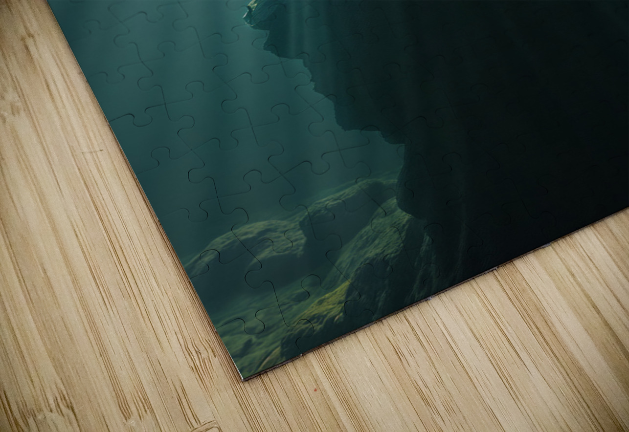  Celestial Spotlight  Aniima Illussiya Puzzle