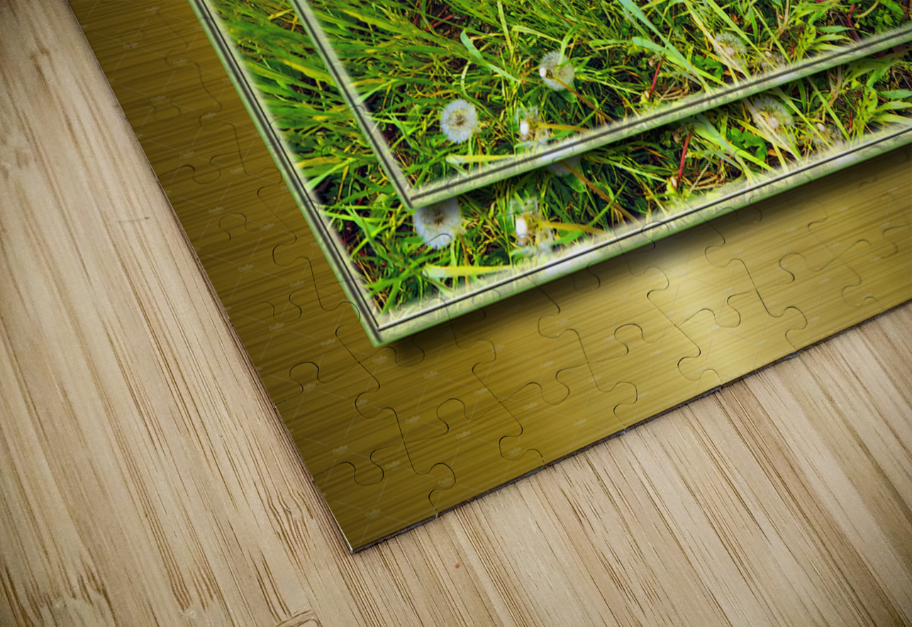 Wildflowers Var 2  PIXquisate Puzzle