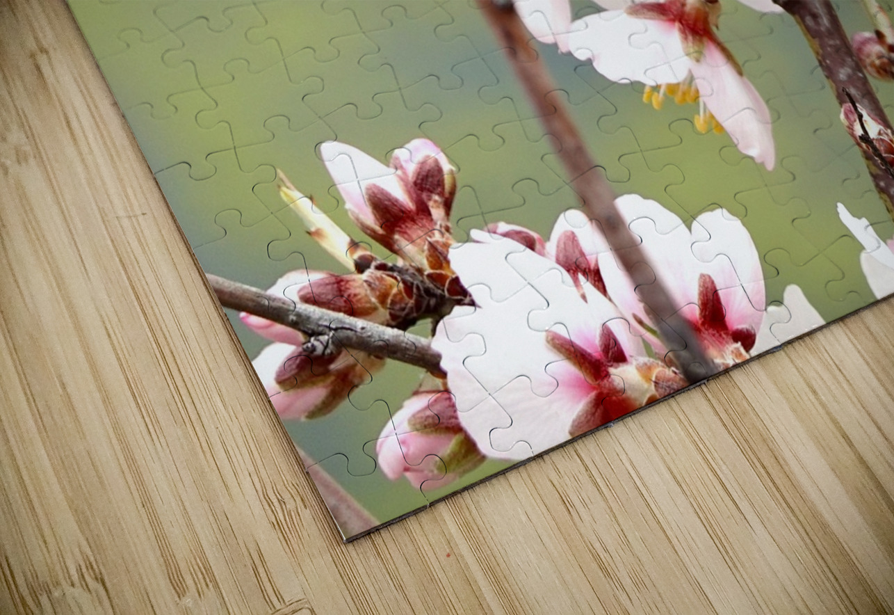 Primavera 2025 Juan Francisco Maura Puzzle