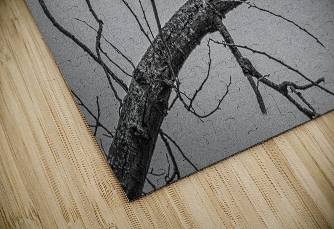 FS250209 ANTIQUE BW FOTOSQUARES COM Puzzle