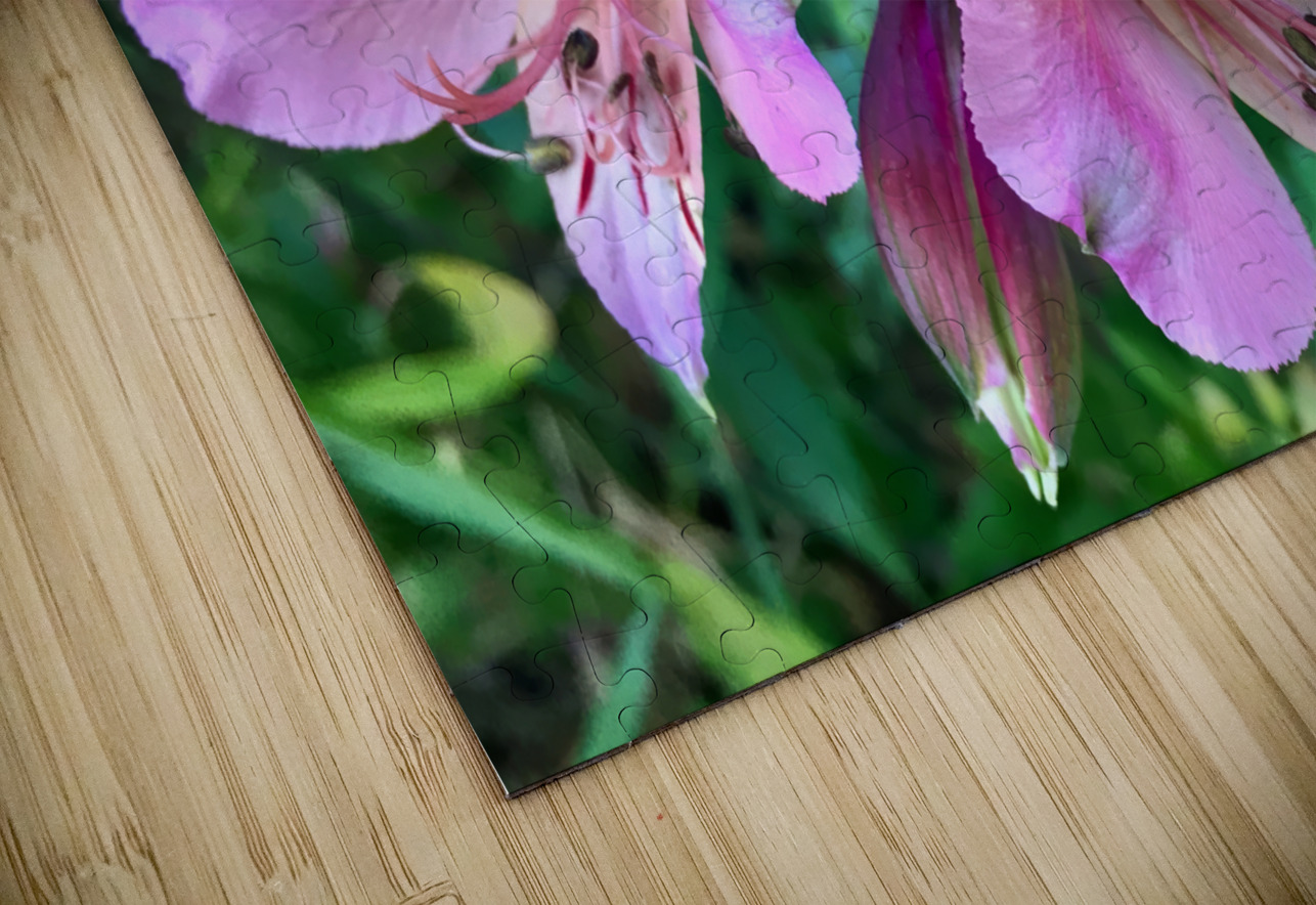 Alostremia Jim Jensen Photography Puzzle