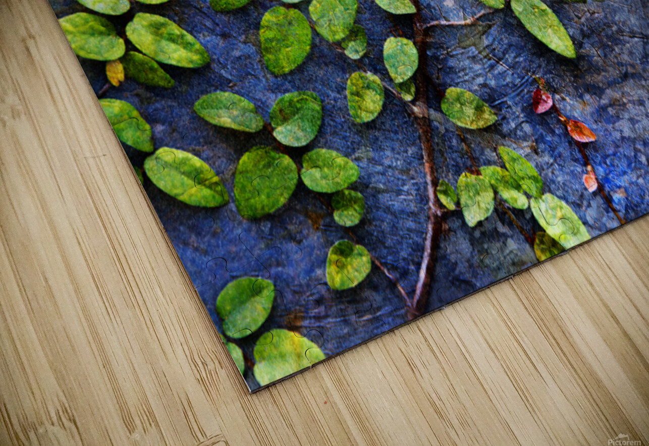 1l Vines On Metal and Stucco Lawrence Costales Puzzle
