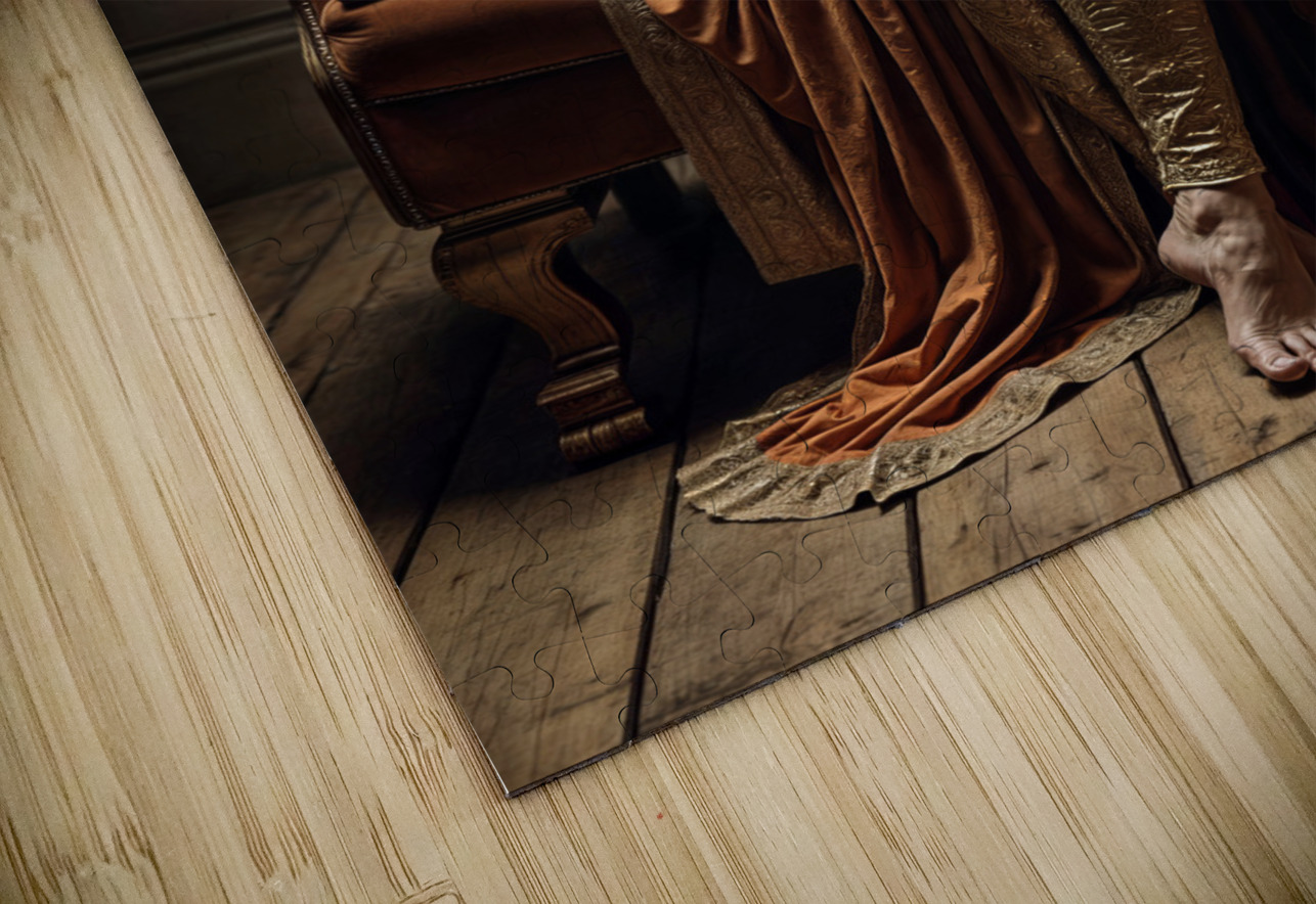 Luxurious and Inviting  Aniima Illussiya Puzzle